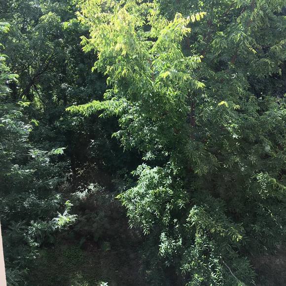 Meet your Posher, Nevenka - Picture 1 of 1